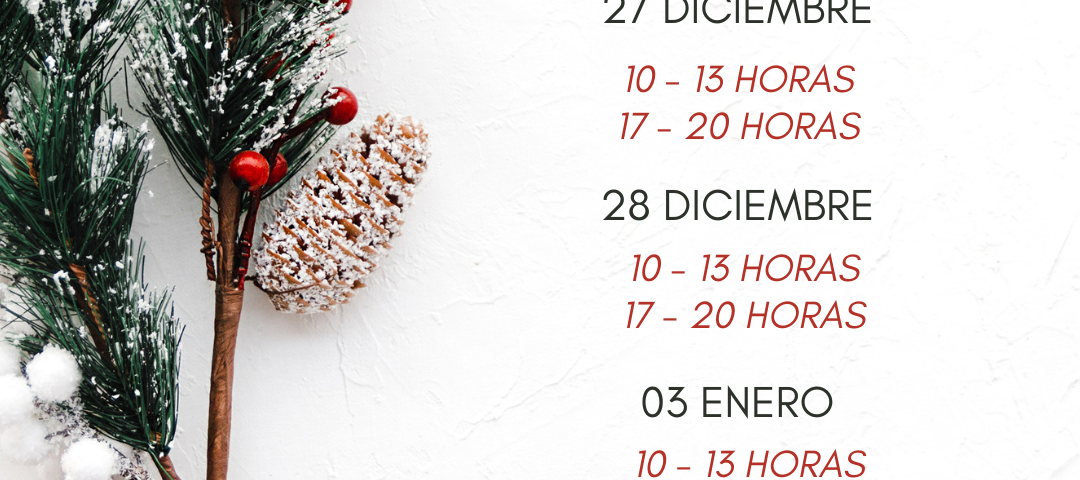 White Classy Holiday Schedule Instagram Post